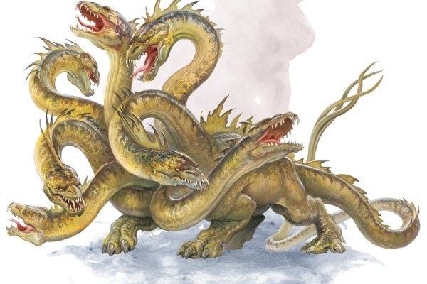 Kraken 6at
