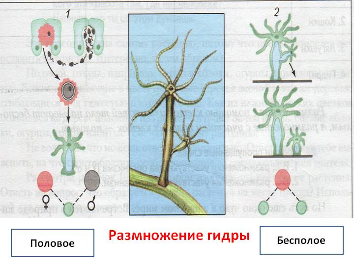 Как попасть на кракен