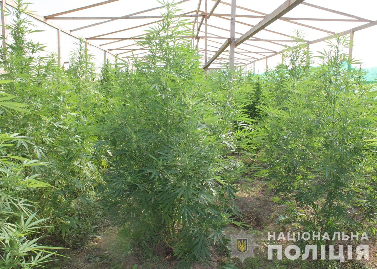 Купон кракен даркнет